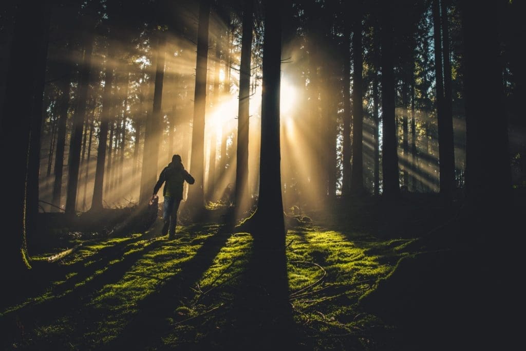 A walk in the woods has become to Francisco Gaspar the best way to cope with stress and anxiety.